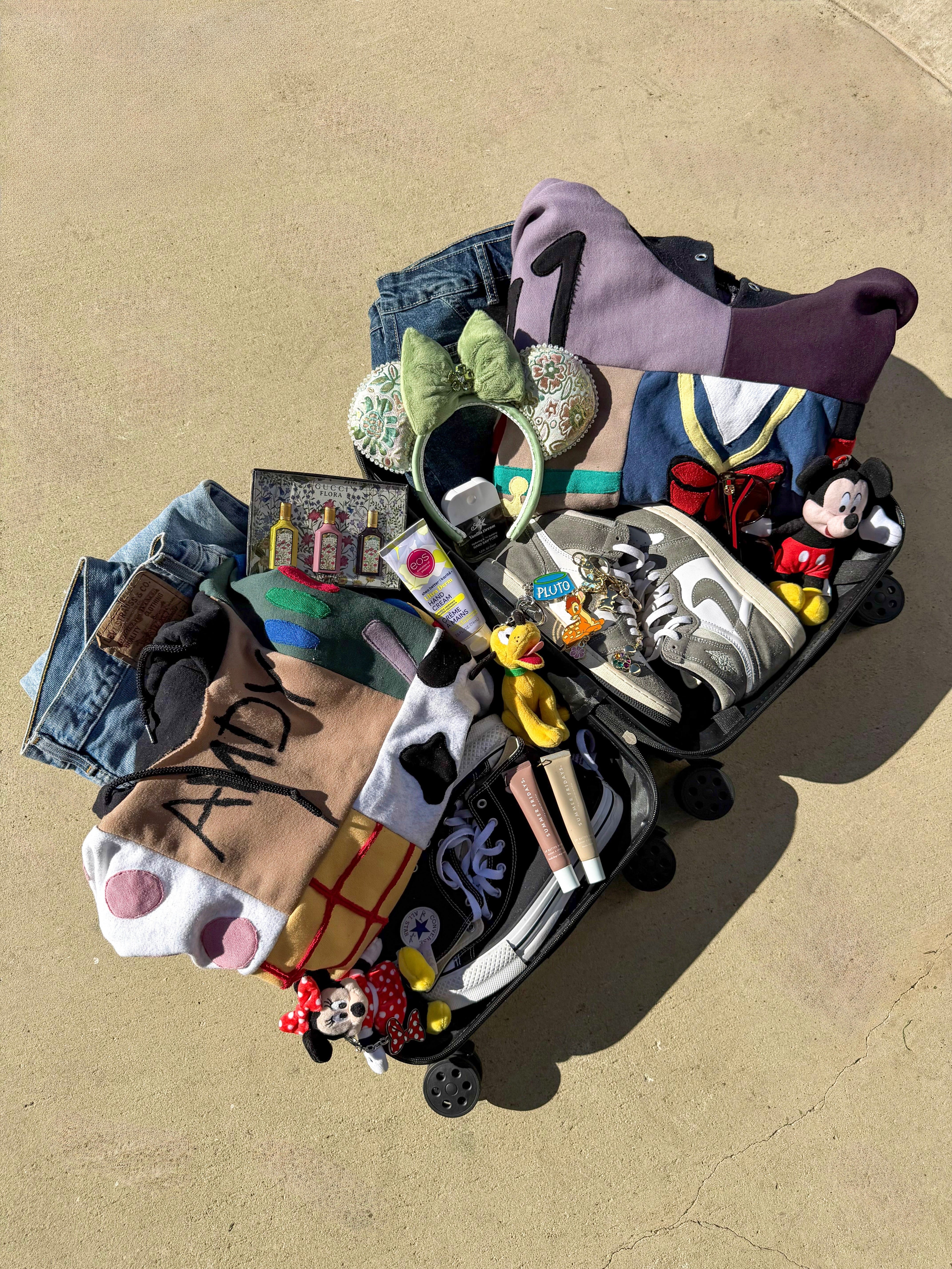 Oddure Goes To Disney